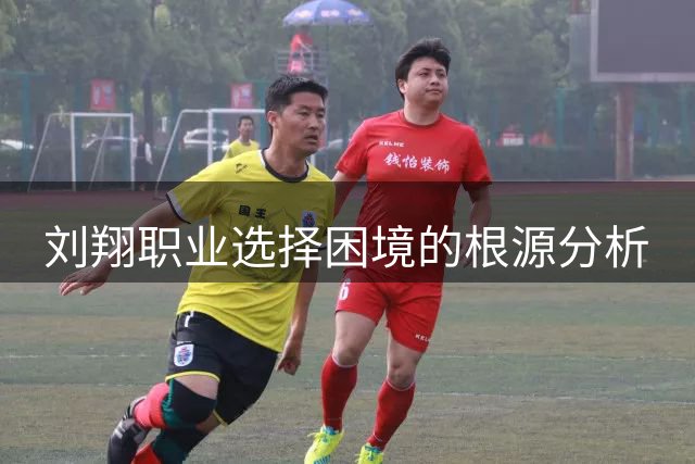刘翔职业选择困境的根源分析