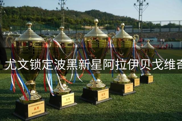 尤文锁定波黑新星阿拉伊贝戈维奇 双足怪或成伊尔迪兹最佳拍档