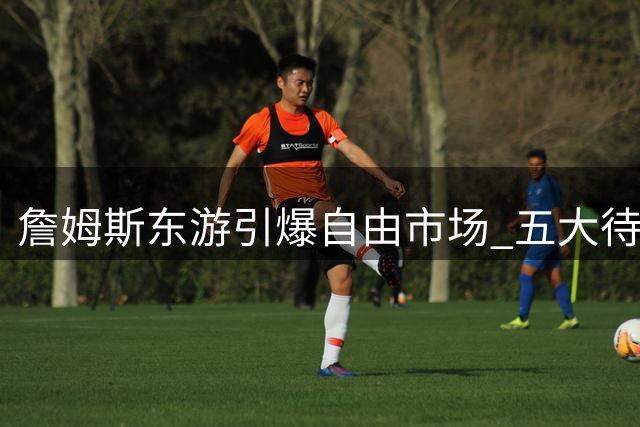 詹姆斯东游引爆自由市场 五大待签球星引发豪门哄抢